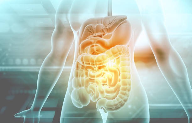 How Small Habits Lead to Long-Term Health Benefits